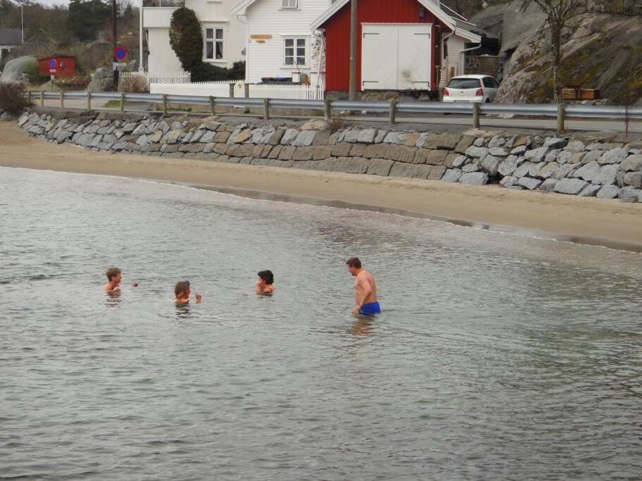 Tjodalyng - Ved Viksfjord - Sokkelleilighet Larvik Exterior foto